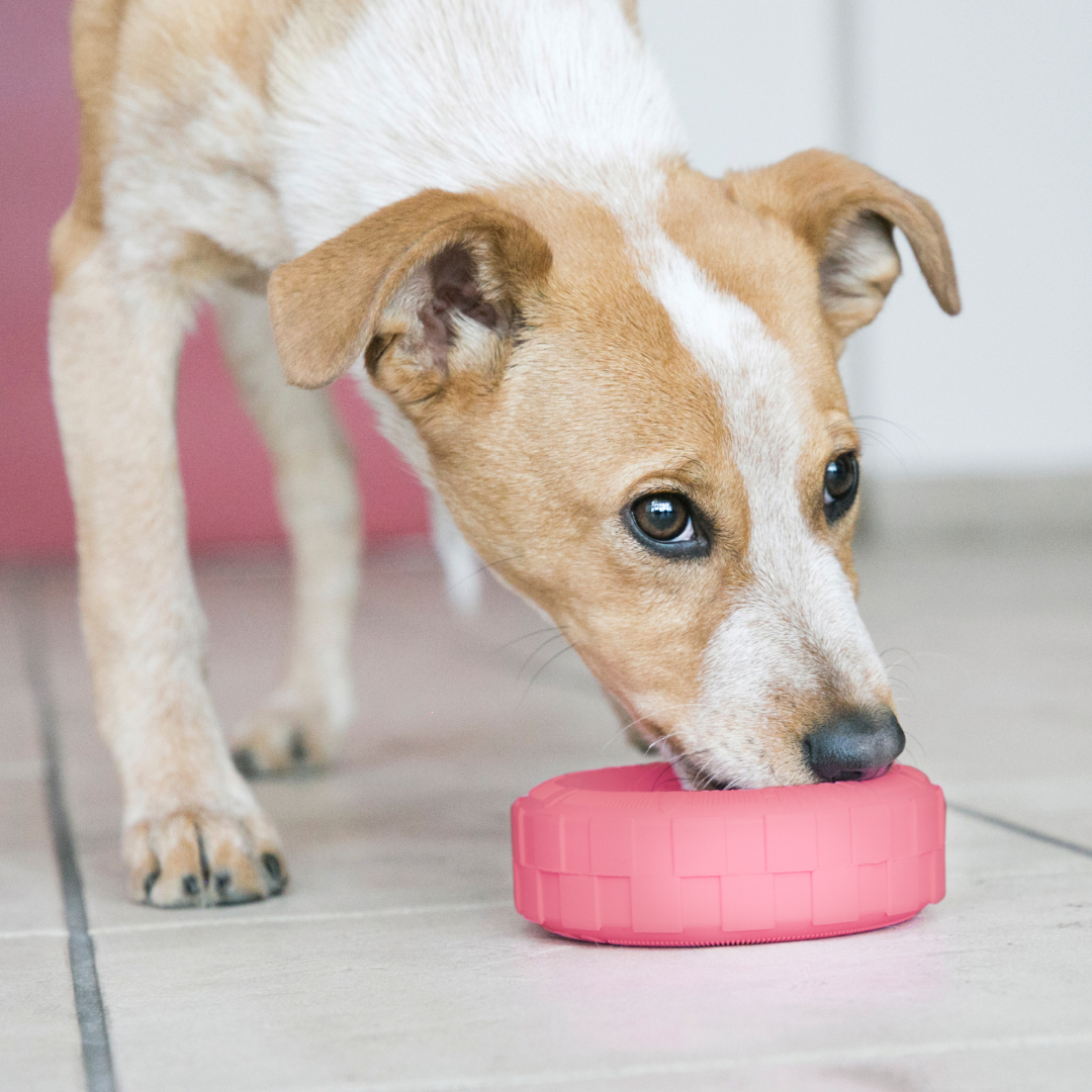 KONG Puppy Tyre Dog Toy