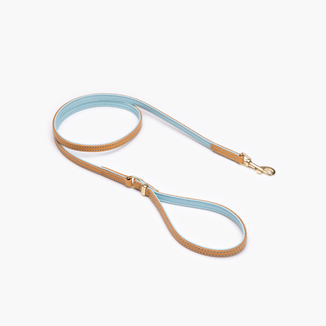 EZYDOG Oxford Leather Dog Leash Lite