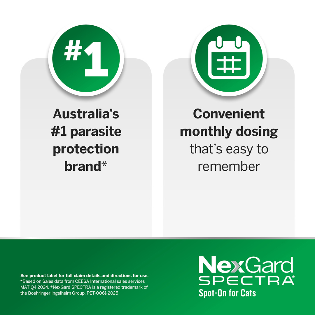 Nexgard Spectra Spot On For Large Cats