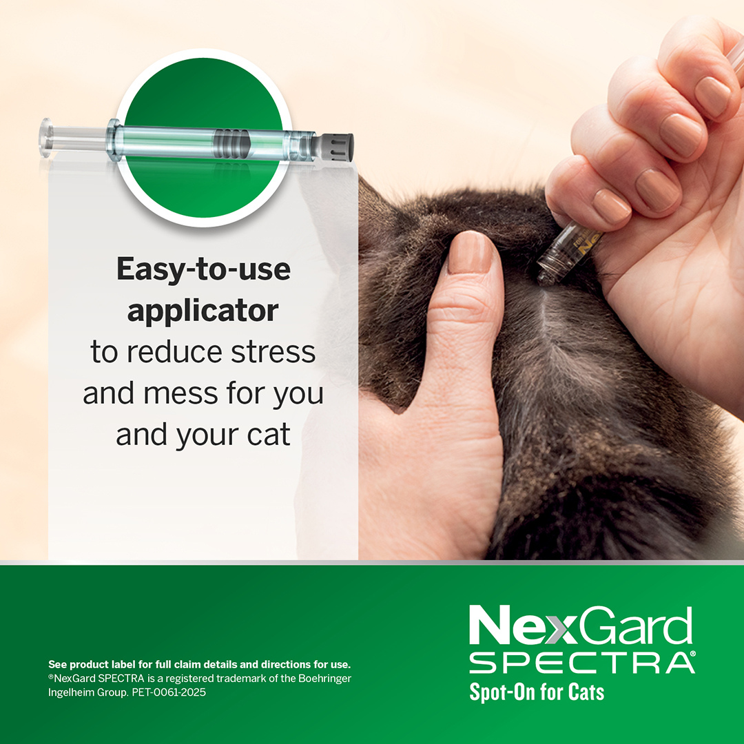 Nexgard Spectra Spot On For Small Cats & Kittens
