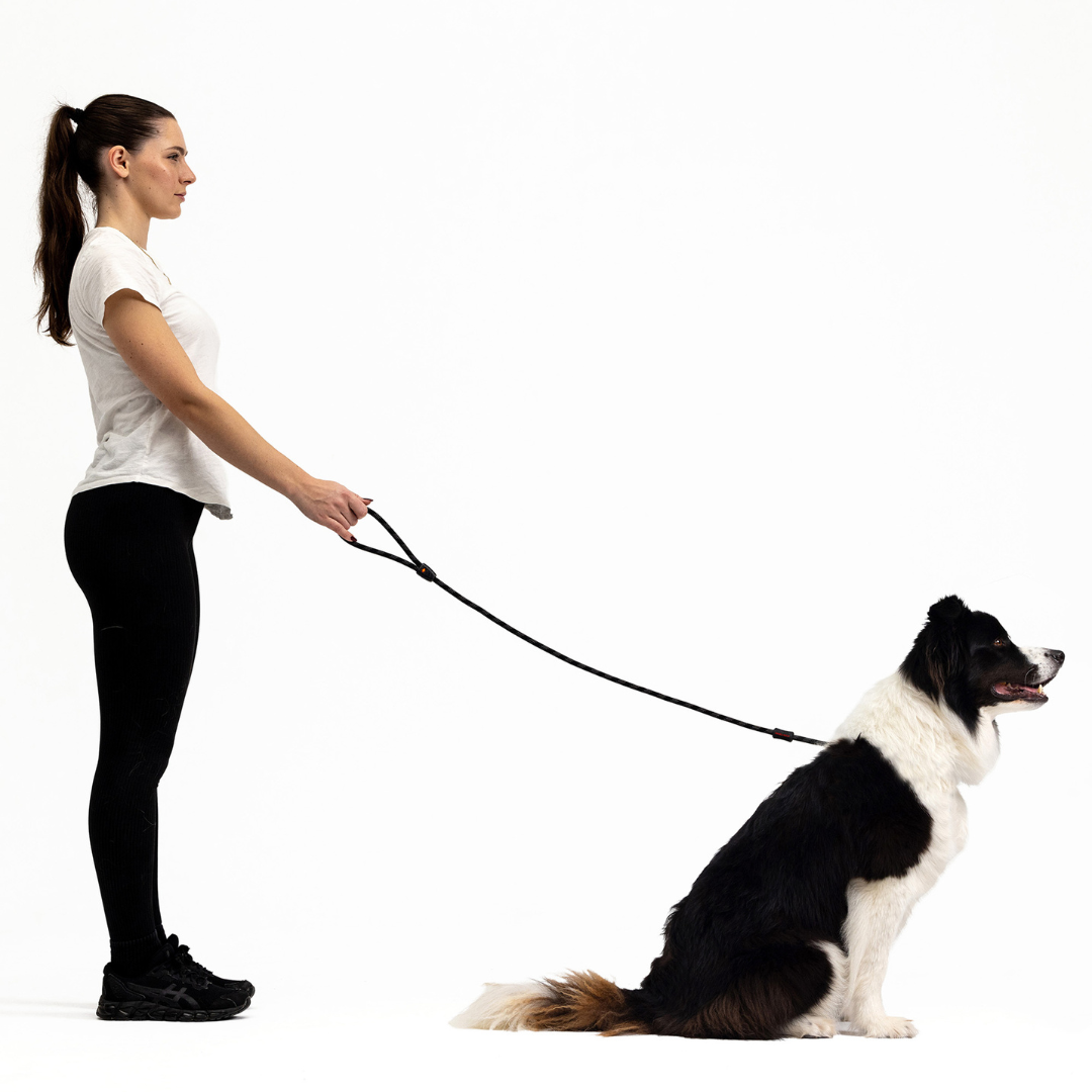 EZYDOG Luca Leash