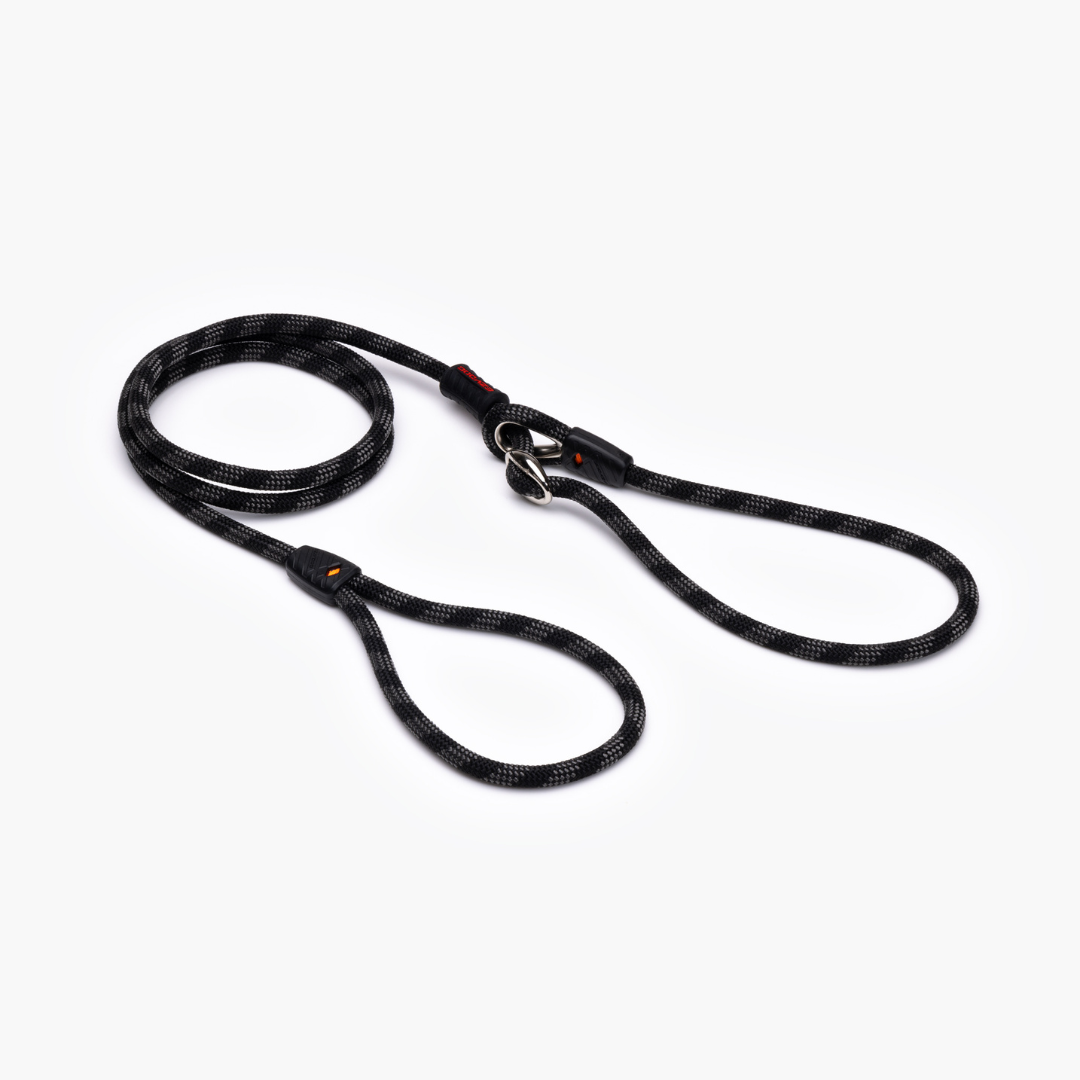 EZYDOG Luca Leash