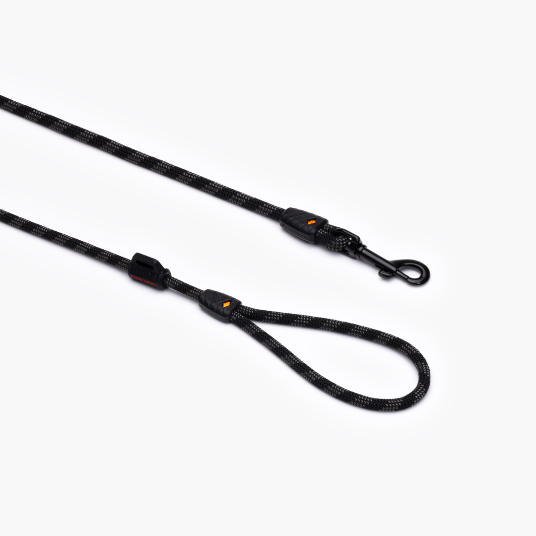 EZYDOG Summit Leash