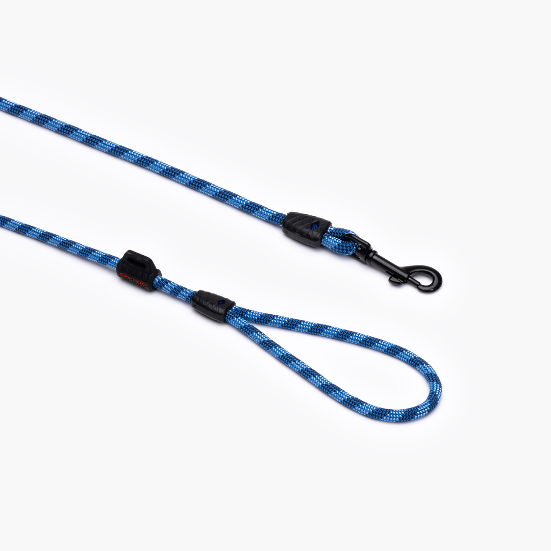EZYDOG Summit Leash