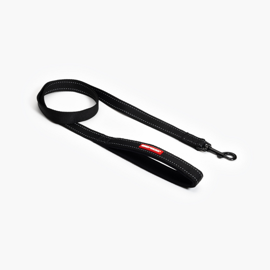 EZYDOG Essential Leash