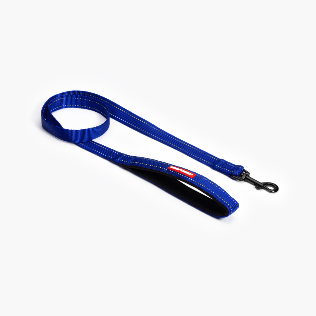 EZYDOG Essential Leash