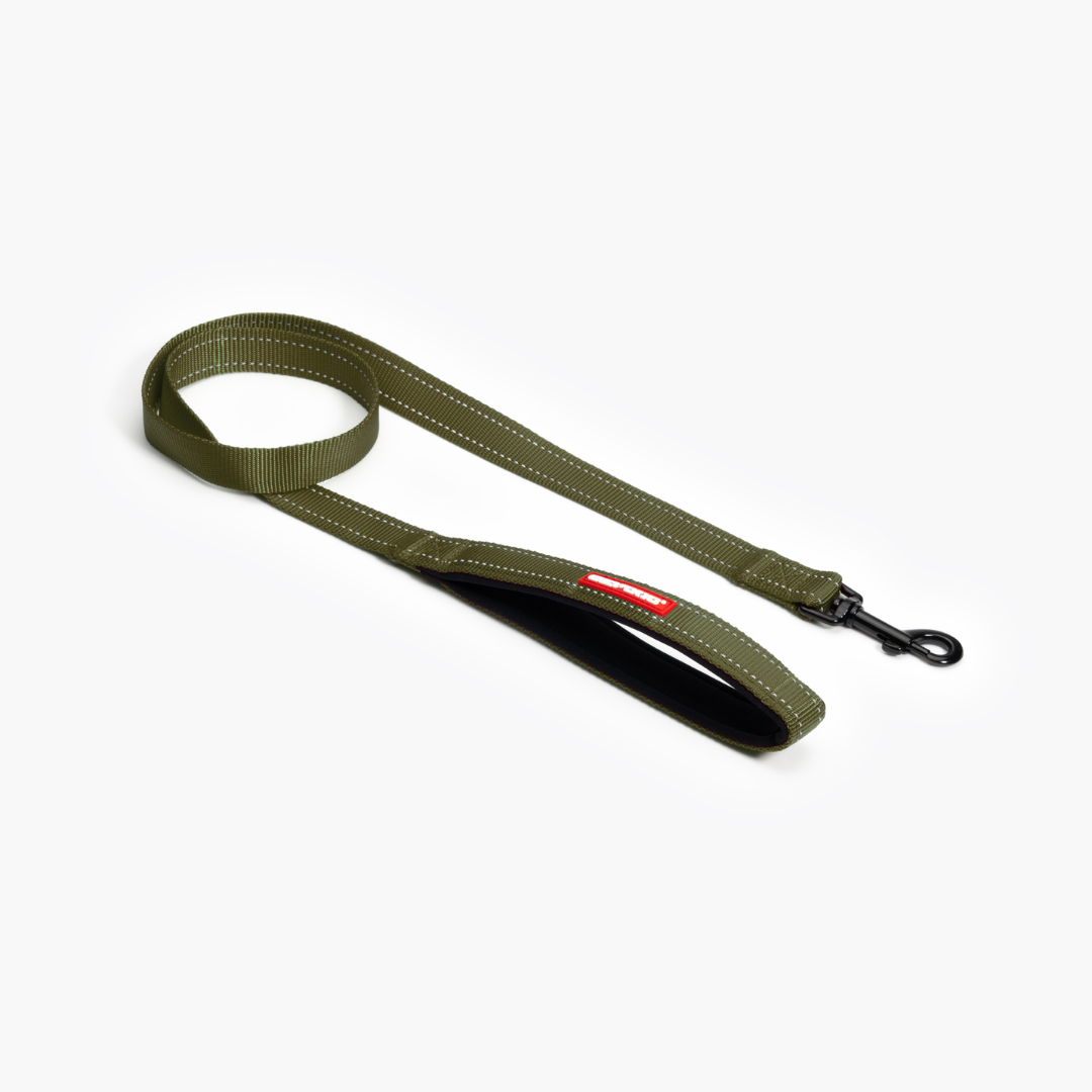 EZYDOG Essential Leash