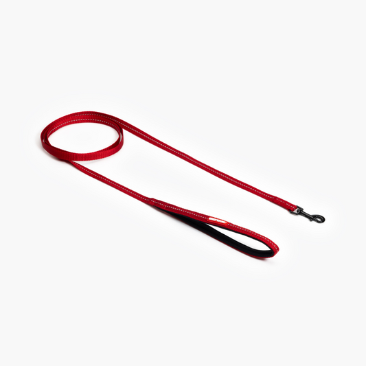 EZYDOG Essential Leash Lite