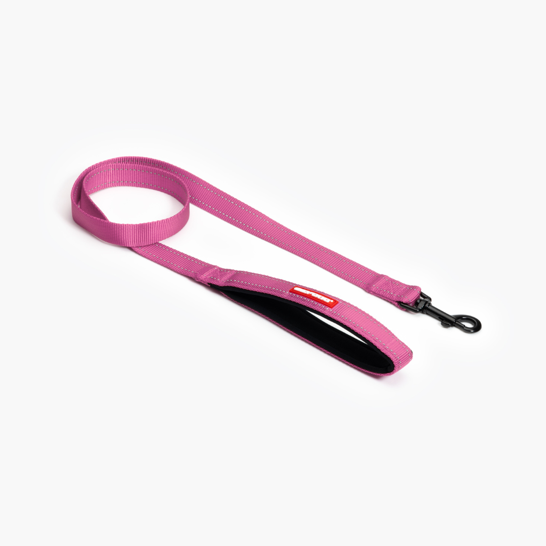 EZYDOG Essential Leash