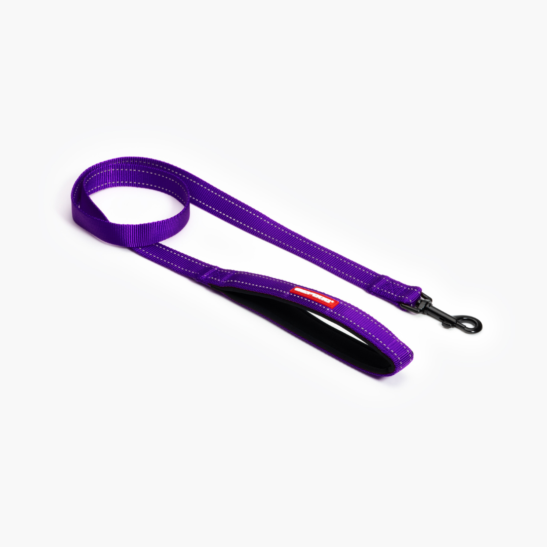 EZYDOG Essential Leash