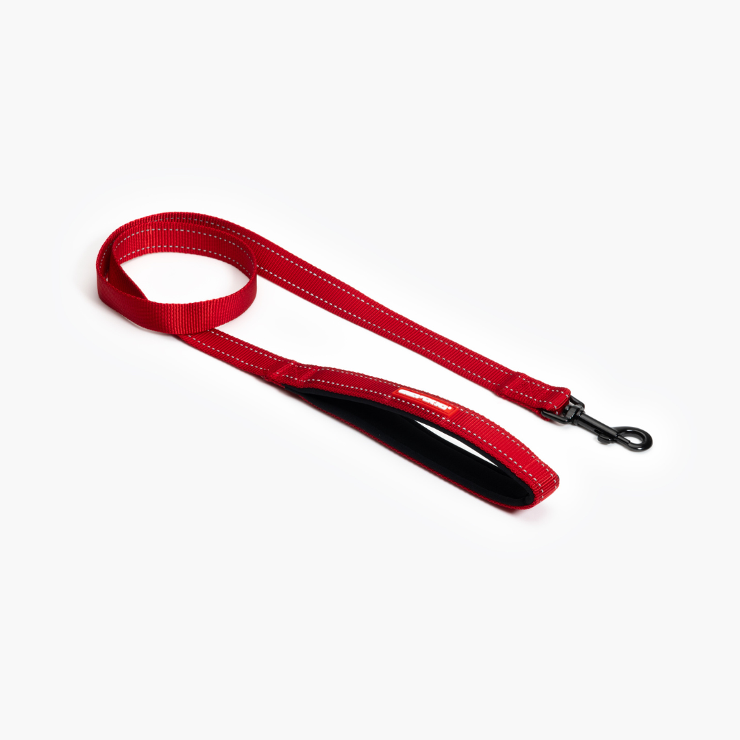 EZYDOG Essential Leash