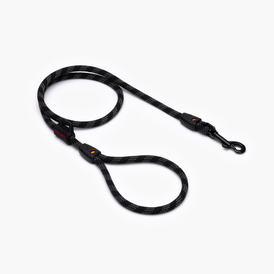 EZYDOG Summit Leash