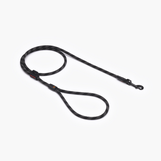 EZYDOG Summit Leash Lite