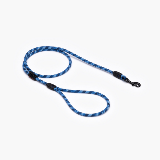 EZYDOG Summit Leash Lite