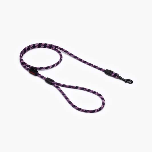 EZYDOG Summit Leash Lite