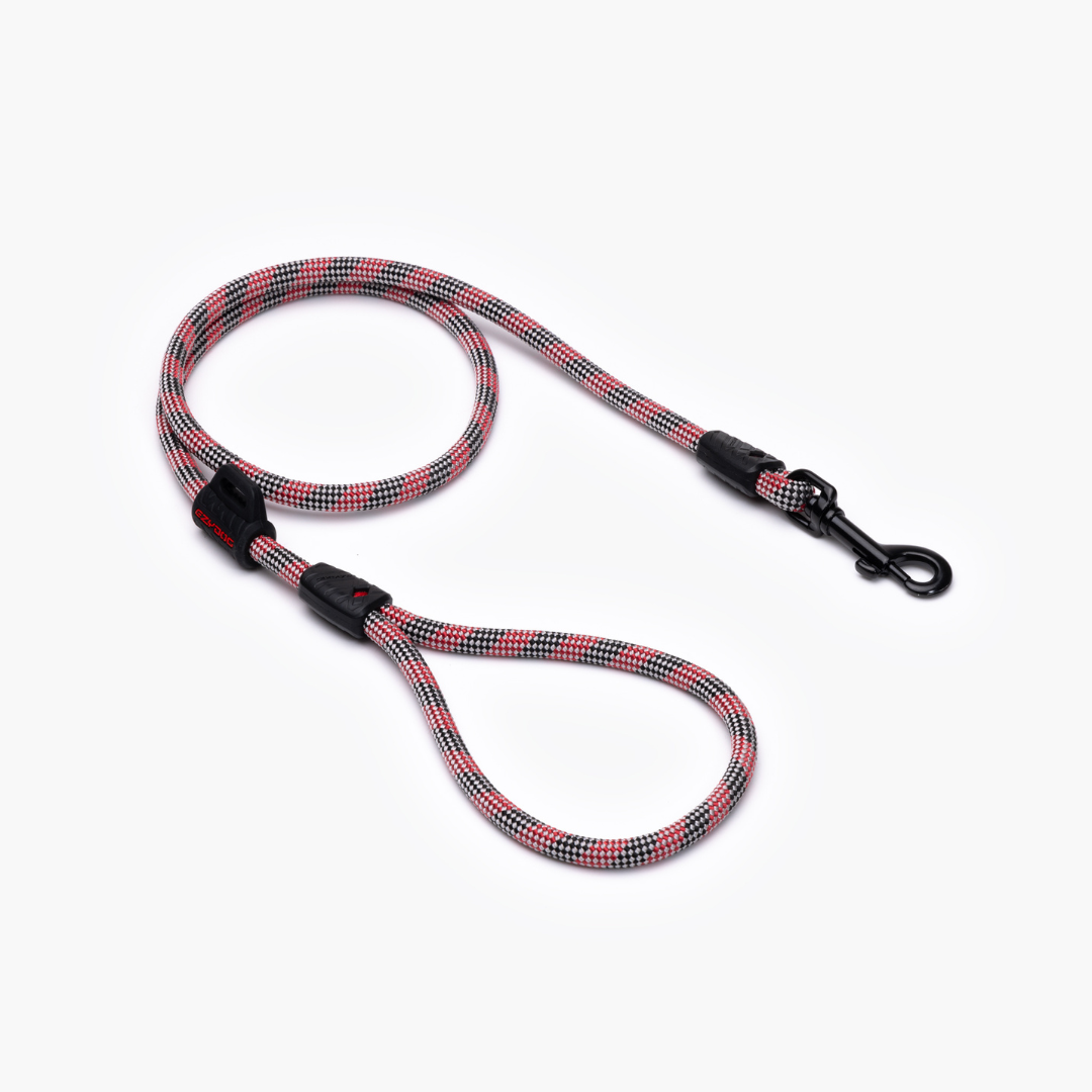 EZYDOG Summit Leash
