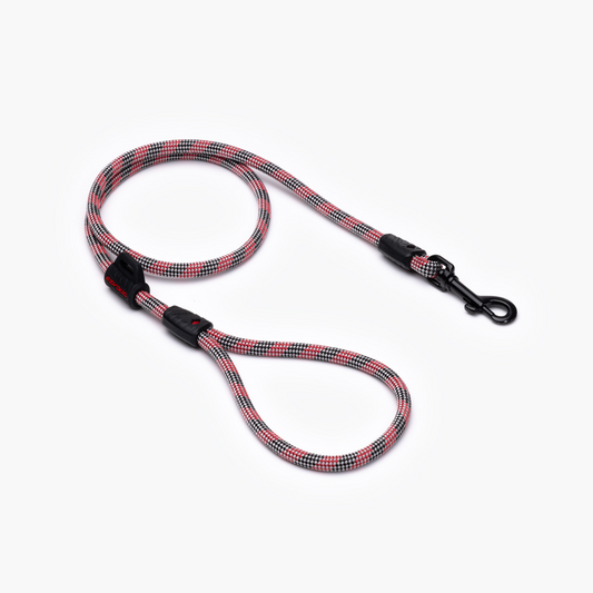 EZYDOG Summit Leash