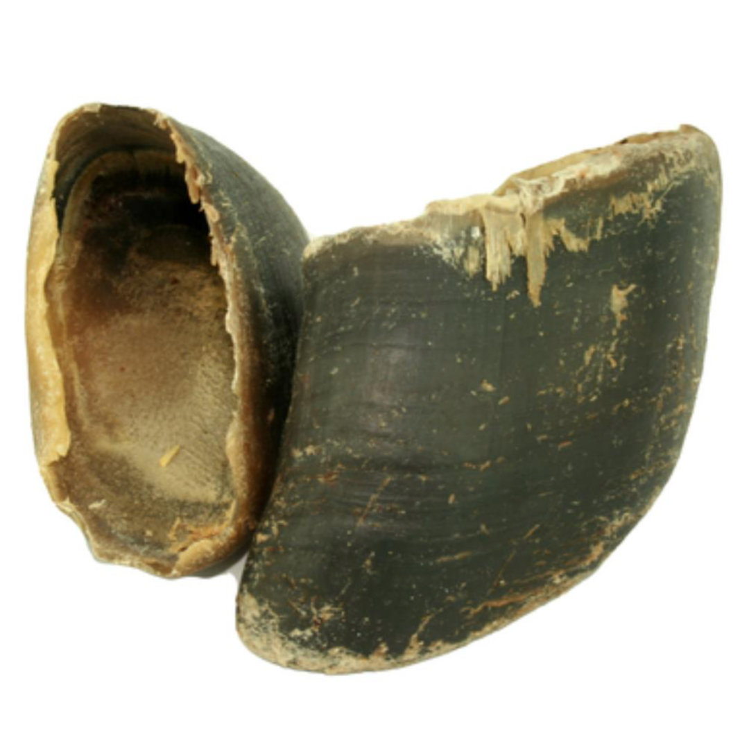 Beef Hooves