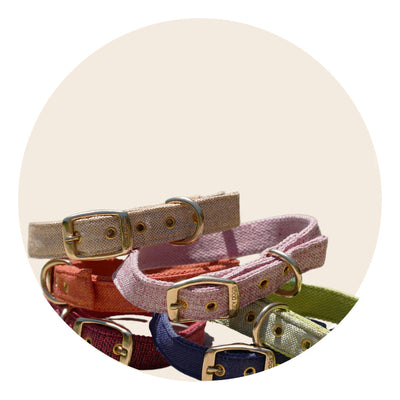 CAT & DOG ACCESSORIES