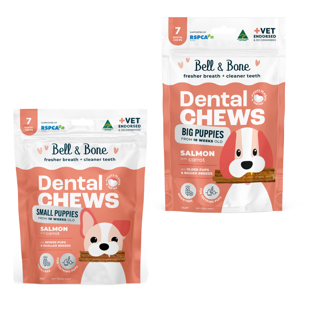 Bell & Bone Puppy Dental Chews - Salmon and Carrot