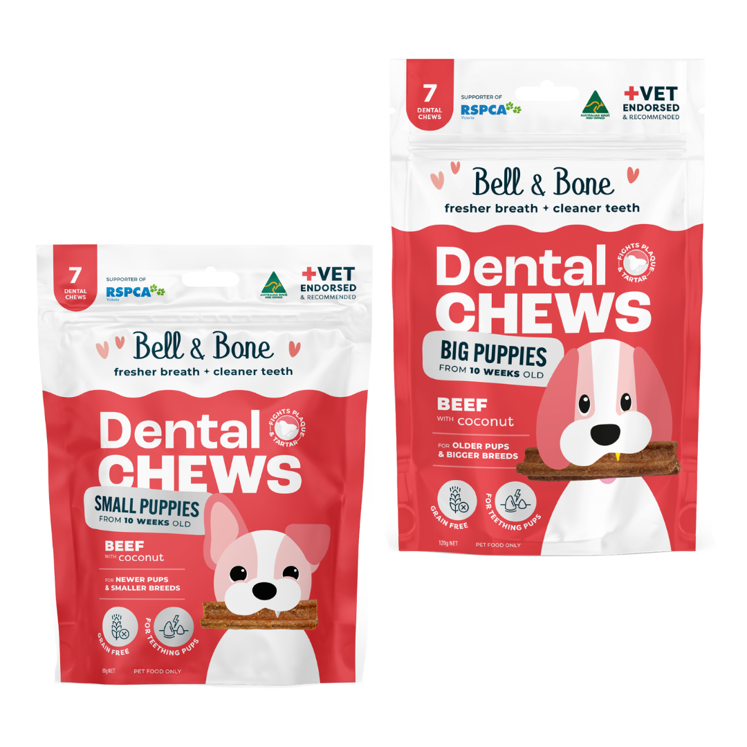 Bell & Bone Puppy Dental Chews - Beef and Coconut