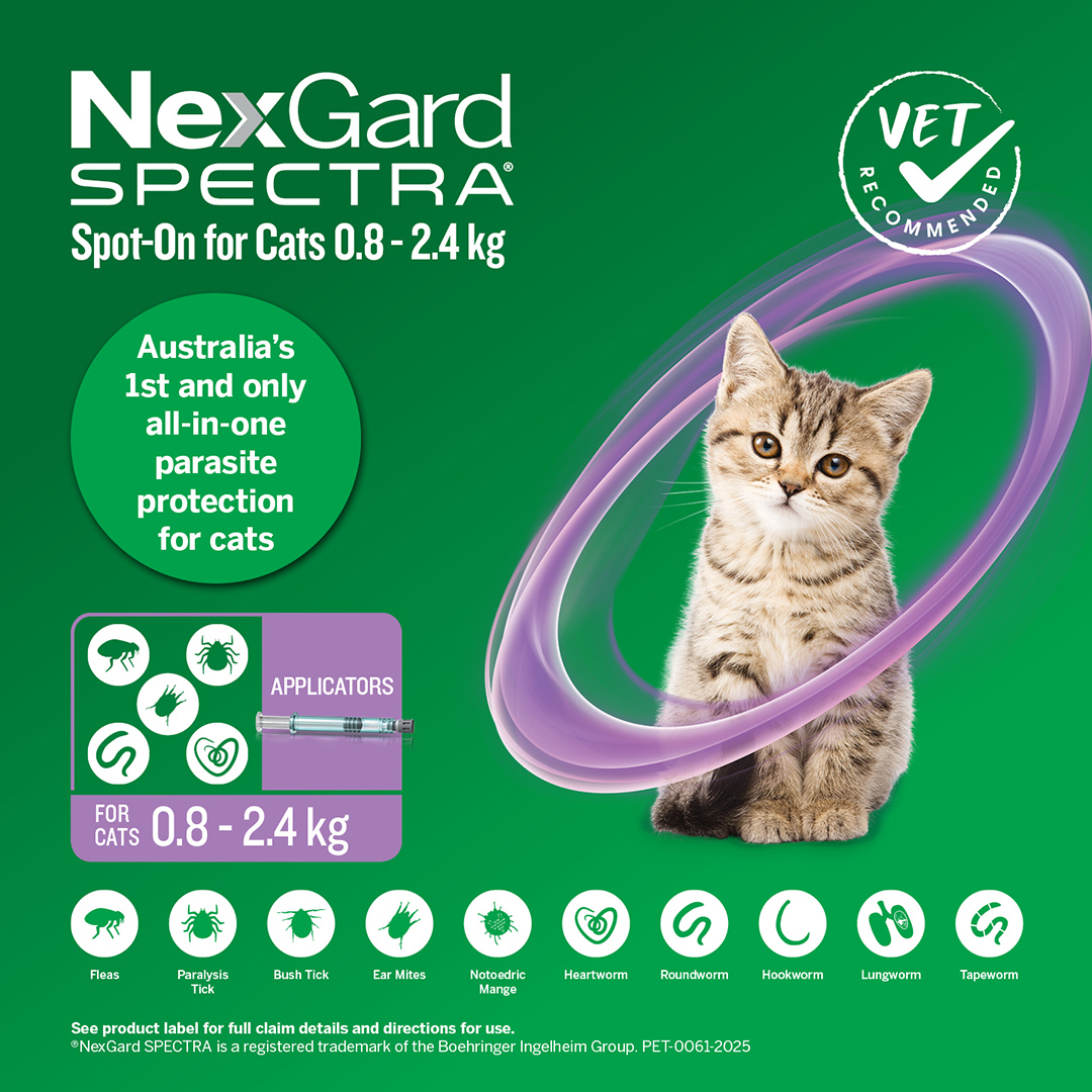 Nexgard Spectra Spot On For Small Cats & Kittens