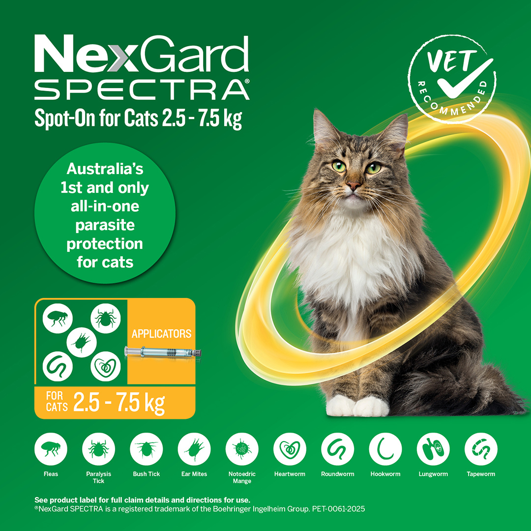 Nexgard Spectra Spot On For Large Cats