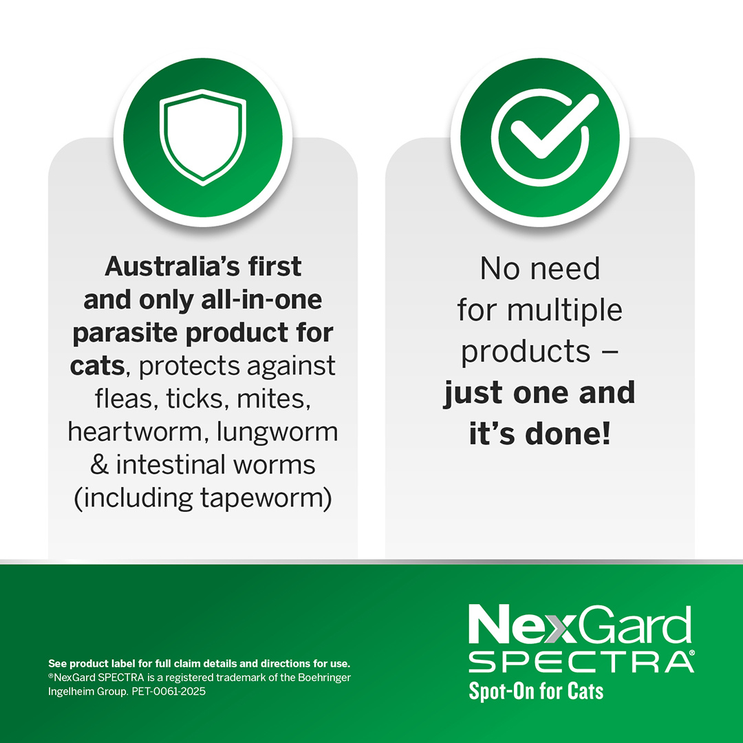 Nexgard Spectra Spot On For Small Cats & Kittens