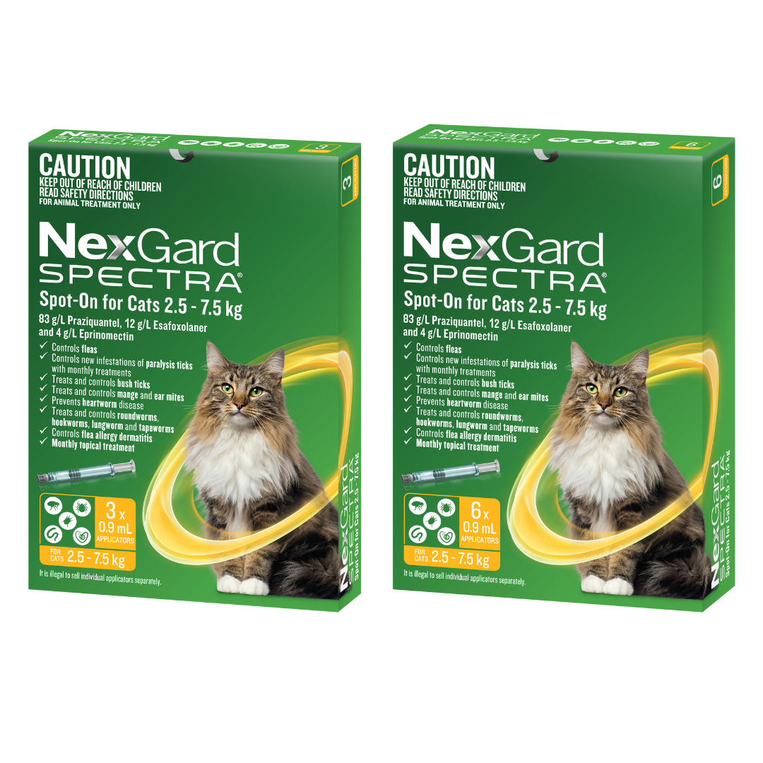Nexgard Spectra Spot On For Large Cats