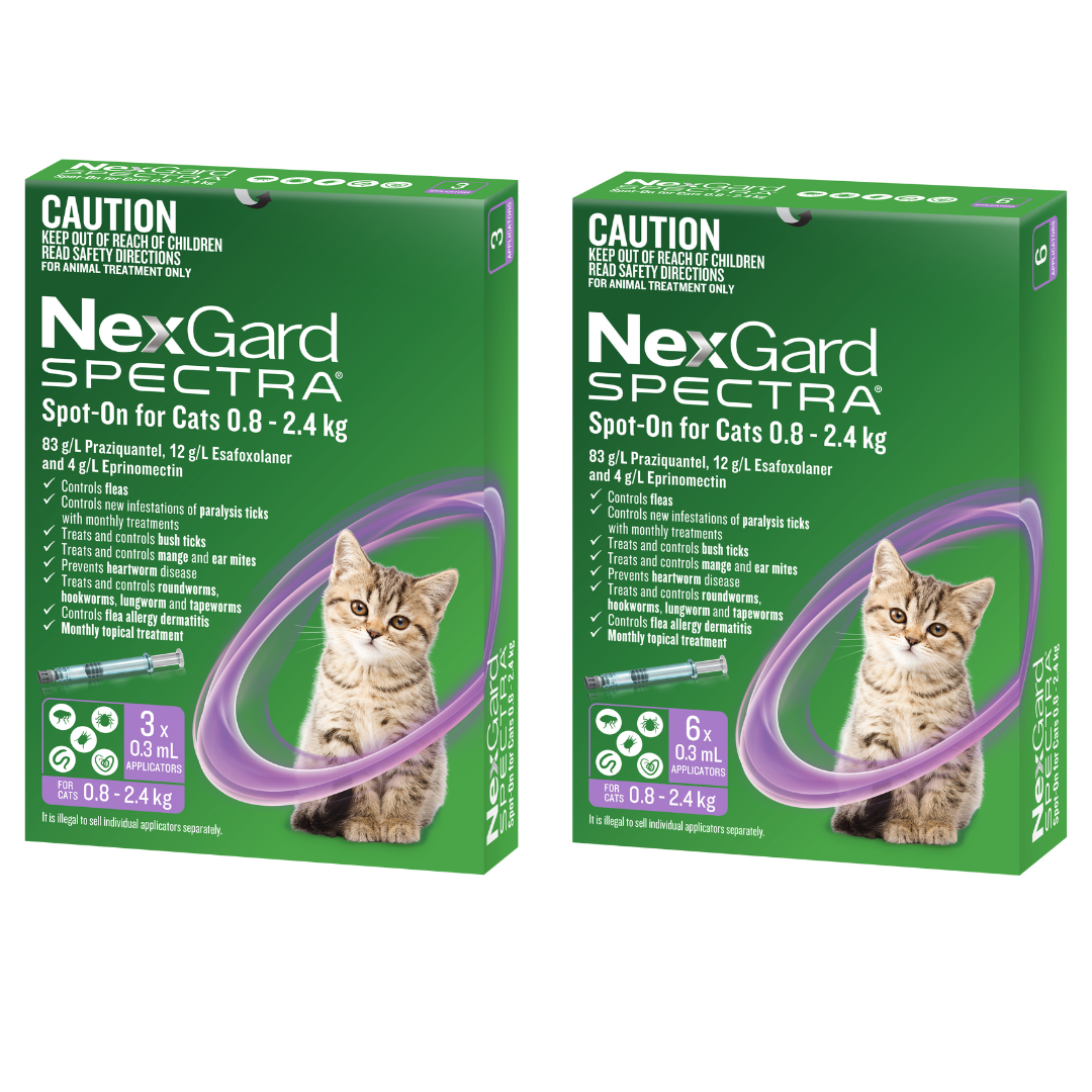 Nexgard Spectra Spot On For Small Cats & Kittens