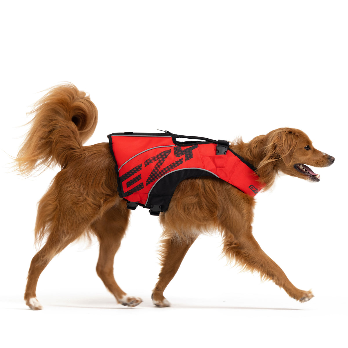 Side view of a dog wearing the EZYDOG Boost X2 DFD life jacket