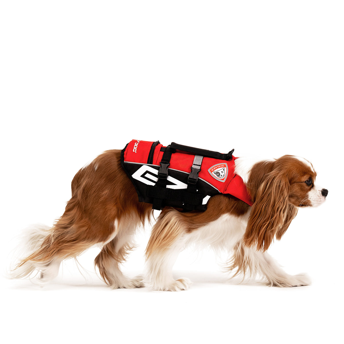 Side view of a small dog wearing the EZYDOG Micro DFD life jacket