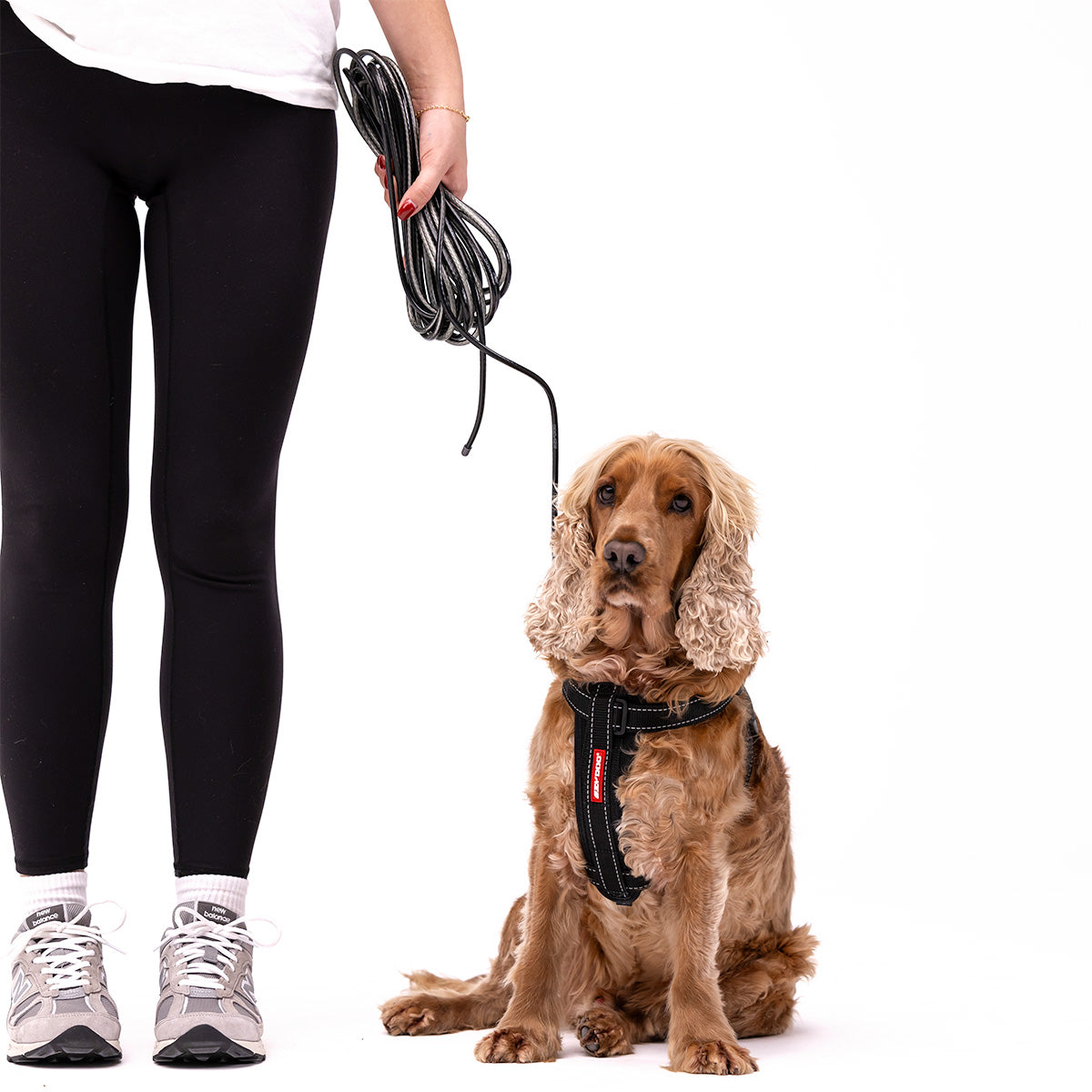 EZYDOG Slimline leash held beside a dog
